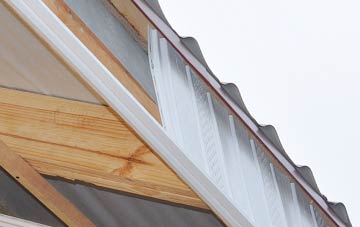 why Douglas Bridge fascia repairs are essential
