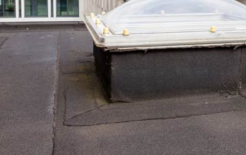 disadvantages of Douglas Bridge flat roofs