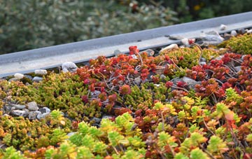 the cost of Douglas Bridge green roof installation