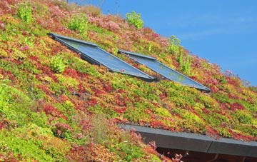 Douglas Bridge living roof systems