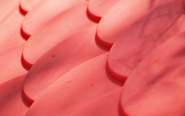 Douglas Bridge plastic roof costs