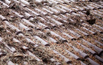 Douglas Bridge roof cleaning companies