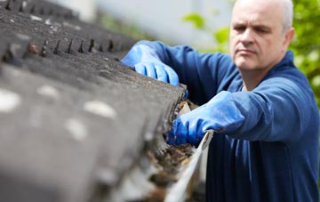 cleaning and inspecting Douglas Bridge roofs
