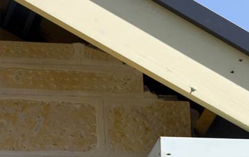 soffit repair Douglas Bridge