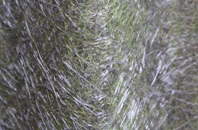 Douglas Bridge fibreglass roof work