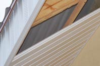 rated Douglas Bridge soffit repair companies
